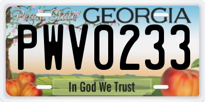 GA license plate PWV0233