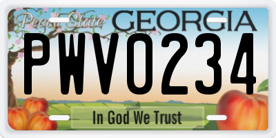 GA license plate PWV0234