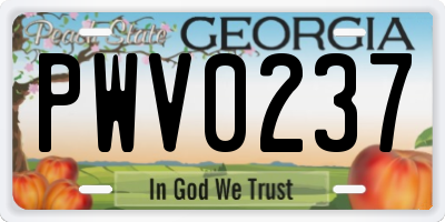 GA license plate PWV0237