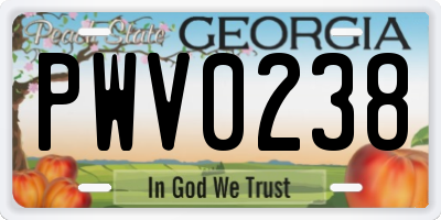 GA license plate PWV0238