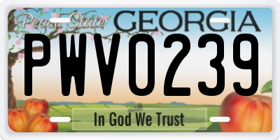 GA license plate PWV0239