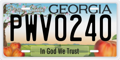 GA license plate PWV0240