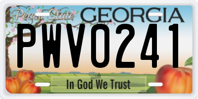 GA license plate PWV0241