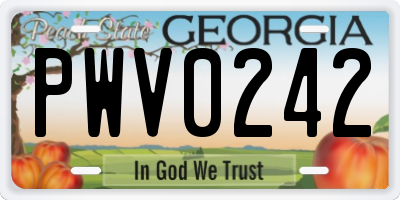 GA license plate PWV0242
