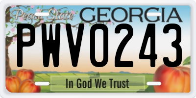 GA license plate PWV0243
