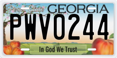 GA license plate PWV0244