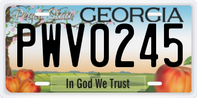 GA license plate PWV0245