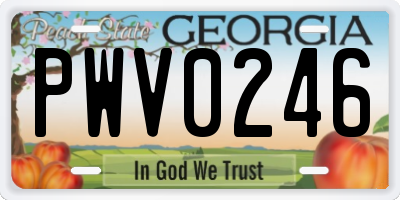 GA license plate PWV0246