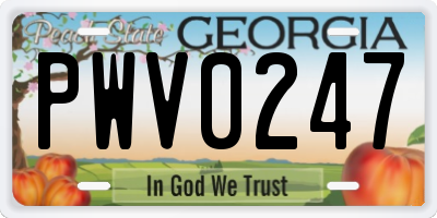 GA license plate PWV0247