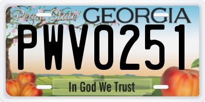 GA license plate PWV0251