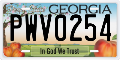 GA license plate PWV0254
