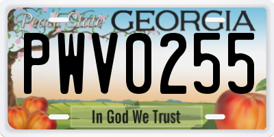 GA license plate PWV0255