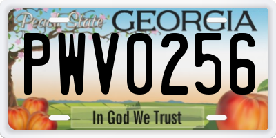 GA license plate PWV0256
