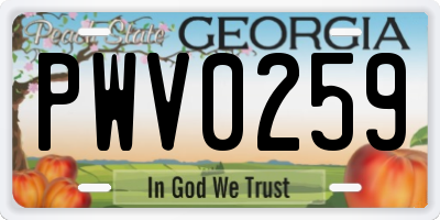 GA license plate PWV0259