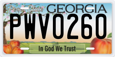 GA license plate PWV0260