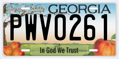 GA license plate PWV0261