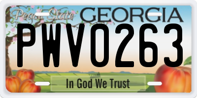 GA license plate PWV0263