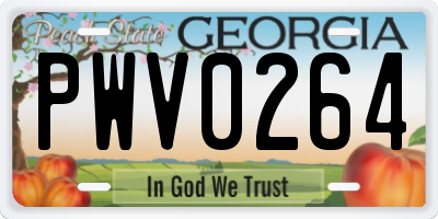 GA license plate PWV0264