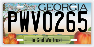 GA license plate PWV0265