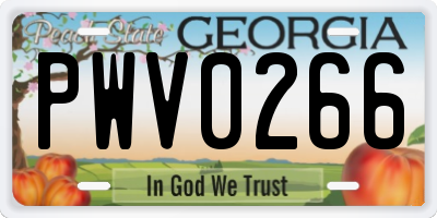 GA license plate PWV0266
