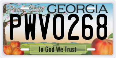 GA license plate PWV0268