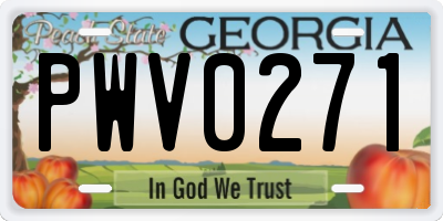 GA license plate PWV0271