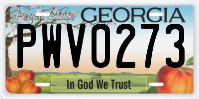 GA license plate PWV0273