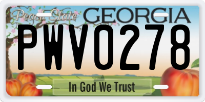 GA license plate PWV0278