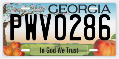 GA license plate PWV0286