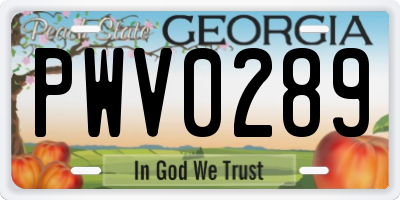 GA license plate PWV0289