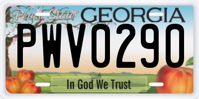 GA license plate PWV0290