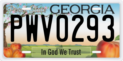 GA license plate PWV0293