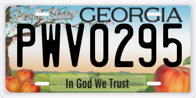 GA license plate PWV0295