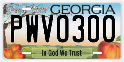 GA license plate PWV0300