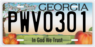 GA license plate PWV0301