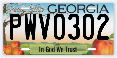 GA license plate PWV0302
