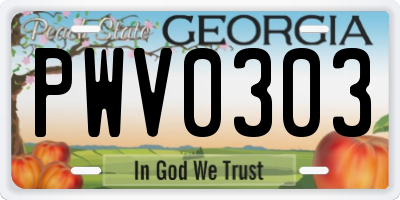 GA license plate PWV0303