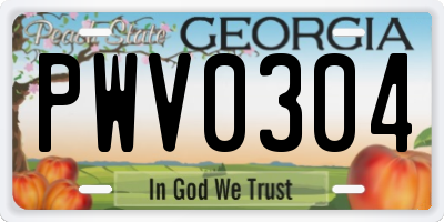 GA license plate PWV0304