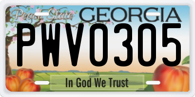 GA license plate PWV0305