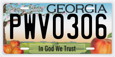 GA license plate PWV0306