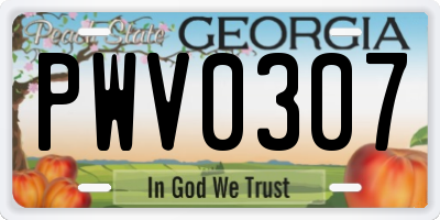 GA license plate PWV0307