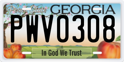 GA license plate PWV0308
