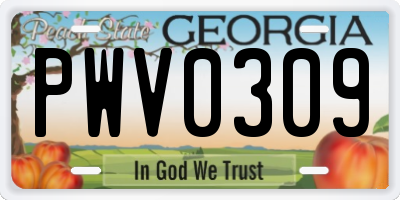 GA license plate PWV0309