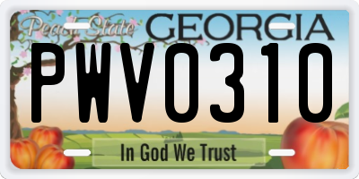 GA license plate PWV0310