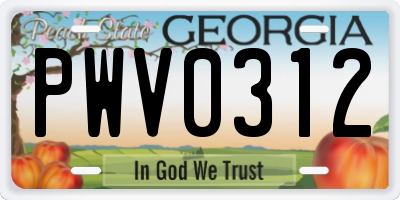 GA license plate PWV0312