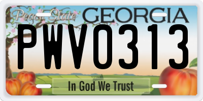 GA license plate PWV0313