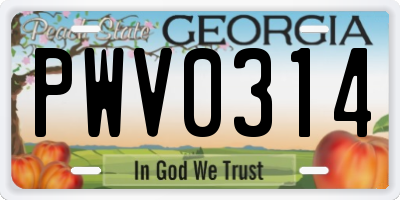 GA license plate PWV0314