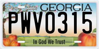 GA license plate PWV0315