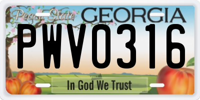 GA license plate PWV0316
