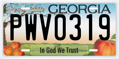 GA license plate PWV0319